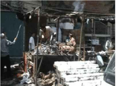 Iraq bombings