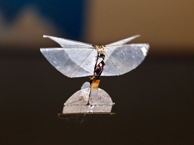 Spy-Butterfly: Israel developing insect drone for indoor surveillance