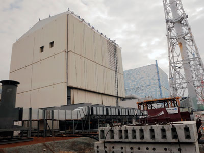 Fish with radiation over 2,500 times safe levels found near Fukushima plant