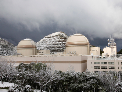 Back to nuclear: Japan to restart two reactors