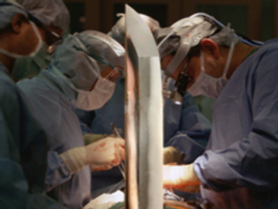 Japanese mobsters get new livers in U.S.