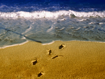 Six kids drown in summer camp death trap