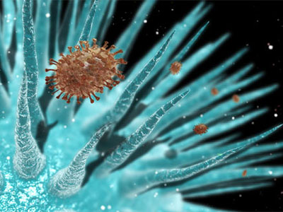 Bioterror scare: Killer flu recipe will go viral?