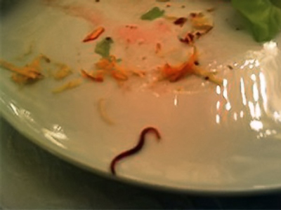 Worm Armageddon: Kremlin grills governor over dinner tweet