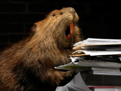 Latvian capital surrenders to beaver invasion