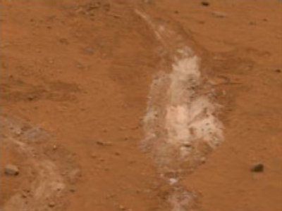 Life existed on Mars: scientists