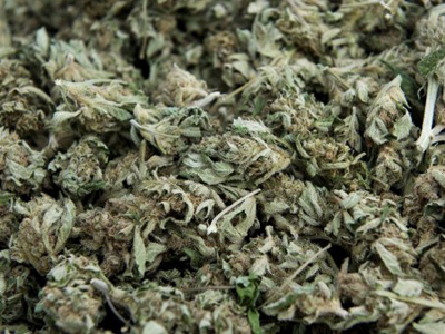 Dope floats: Multi-million-dollar pot haul found adrift off LA