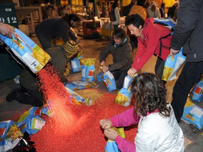 Monsanto maize banned in France