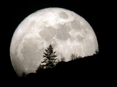 ‘Supermoon’ to dominate night sky