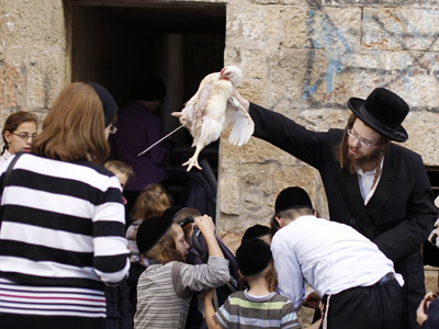 How to kill: Dutch govt aims to regulate religious slaughter