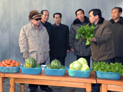 Pyongyang poser: Nix nukes for fast food?