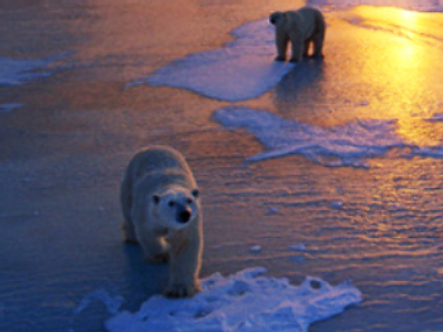 Northern Russia ‘20 years from global warming disaster’