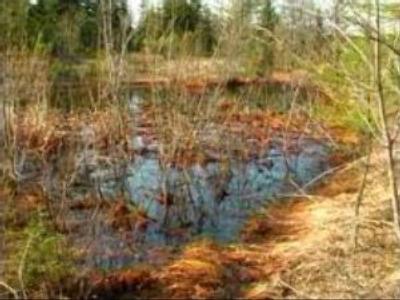 OIl spill contaminates Sakhalin river