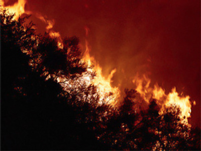 State of emergency declared as forest fires rage in Russia’s summer drought