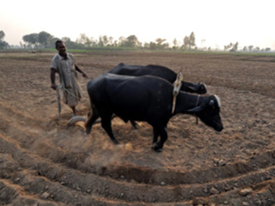 Pakistan to arm peasants in fight on terror
