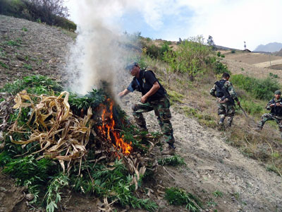 $15 million up in smoke: Peruvian police burn record 50 tons of marijuana (PHOTOS)