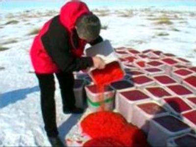 Police prevent mass poisoning in Russia's Far East