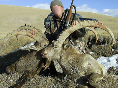 Russia gets tough on poachers