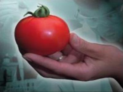Russia to start labelling GM foods