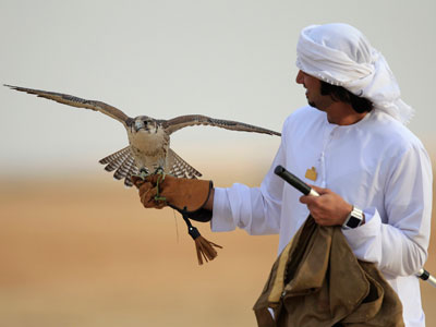 Wings of a scandal: Saudi princes stopped trying to take rare falcons out of Russia