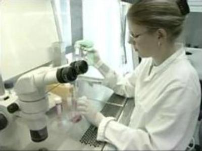 Scientists claim alternative source of stem cells - possible