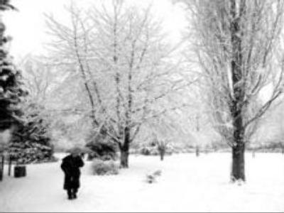 Snow storm in Russian Far East