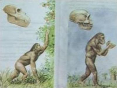 St. Petersburg court rejects schoolgirl's suit over Darwinism