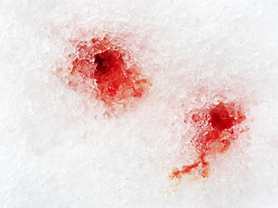 Teenage party in Siberia climaxes in a shooting rampage