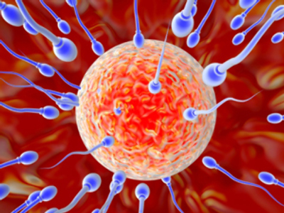 Another banking crisis in the UK – donor sperm shortages