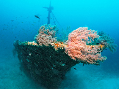 Ukrainians want old Russian ships to sink in the Crimea