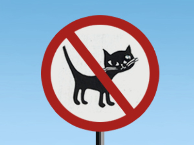 Ukrainian gas plant evicts cats and dogs