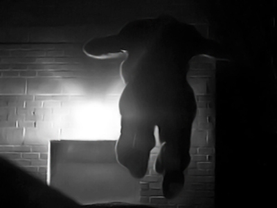 Urban adventure game kills entrant