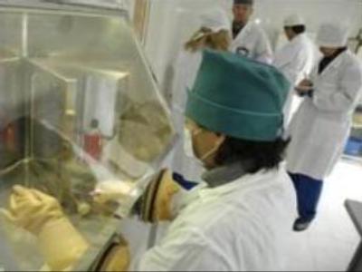 Vets confirm bird flu in poultry from Southern Russia