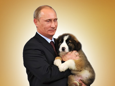 Wanted: name for Putin’s new pet