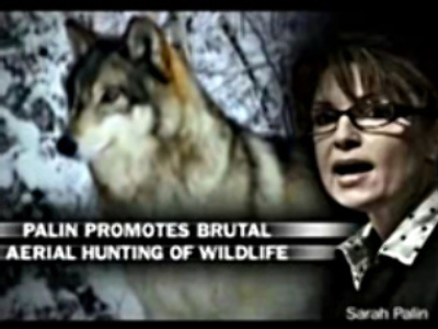 Wildlife defenders new headache for McCain & Palin