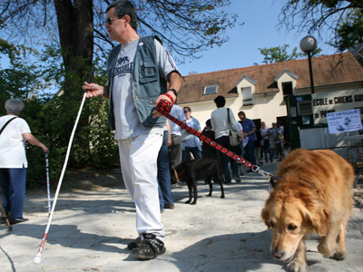 'ACTA and SOPA for the blind': US, EU block treaty benefiting the visually impaired