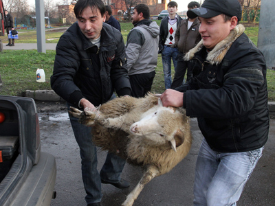 Violence of the lambs: Animal sacrifice ban sought in reply to Innocence of Muslims ruling