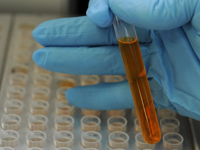 State Duma wants drugs tests for officials