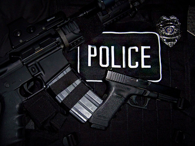 Federation Council approves law on police