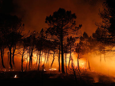 Terrorists lit European forest fires, eyes on WMDs – FSB chief