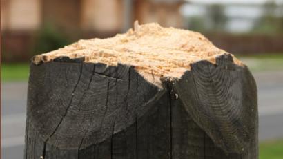 Russian Church calls to defend religion from trolling