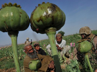 Russia says NATO ignores CSTO offers to fight Afghan drugs