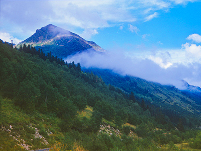 Northern Caucasus is inseparable from Russia – Surkov