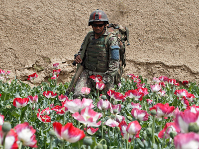 Russia, Afghanistan to boost cooperation on drug and terror fronts