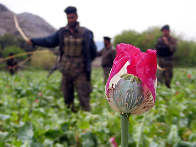Russia slams NATO for losing Afghan opium war