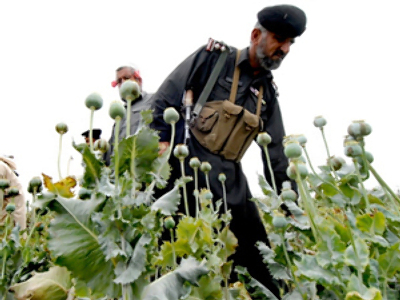 Russia urges stop to flow of Afghan opium