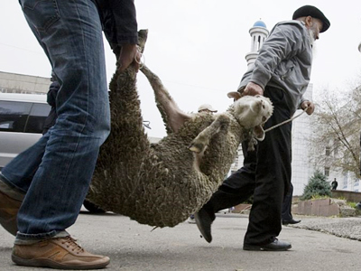 Moscow mayor says Muslim animal slaughter may be 