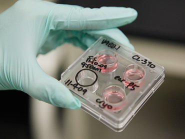 Scientists under attack