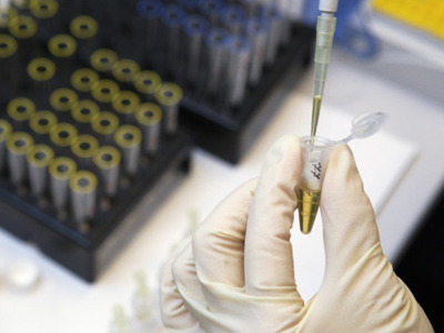 New Russian law targets sports trainers involved in doping