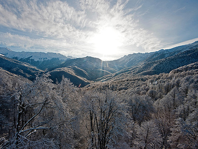 Six new disciplines included in Winter Olympics program